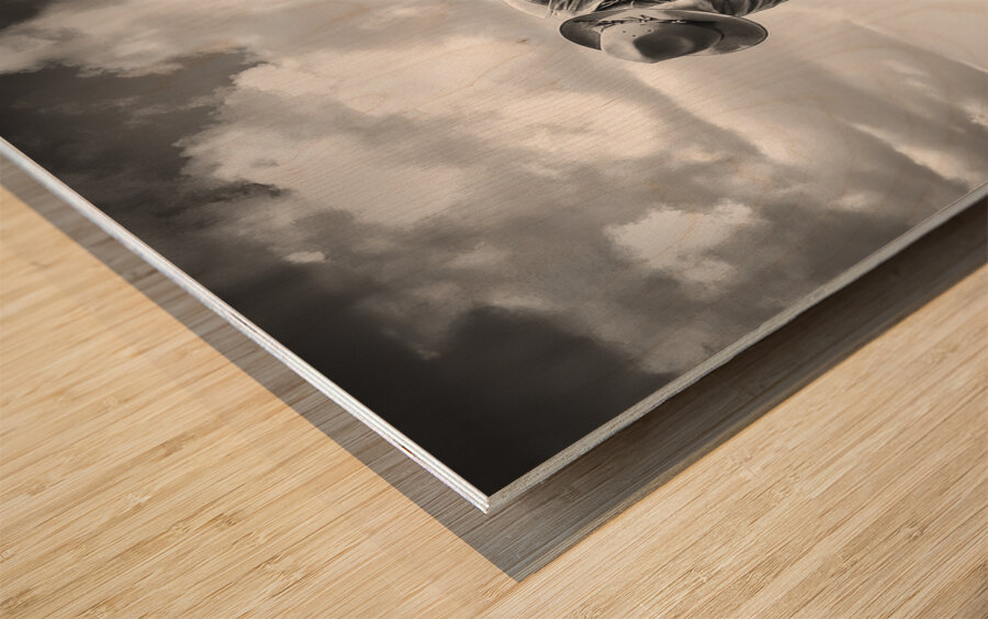 Lone Figure on Trail Ride Wood print