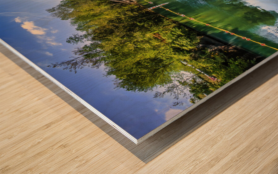 Meads Quarry Lake Knoxville TN Wood print