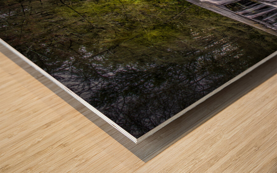 French Broad Falls Wood print