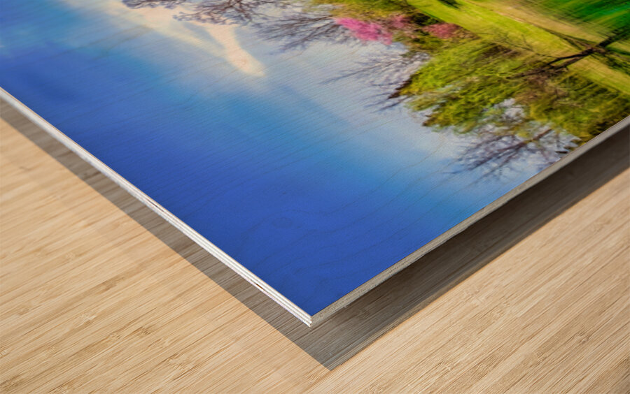 Allandale Lake in Spring Wood print