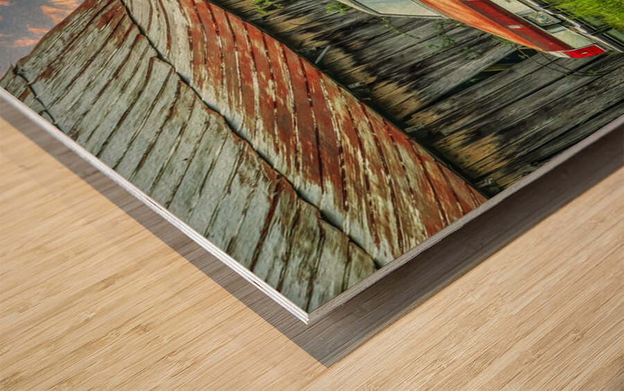 Abandoned in Tennessee Farm Country Wood print