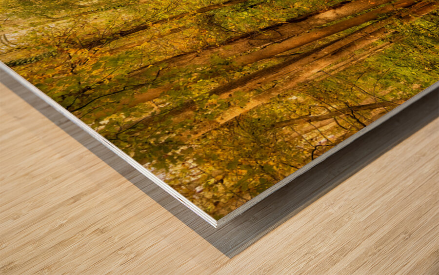 Backroads of Appalachia in Autumn Wood print