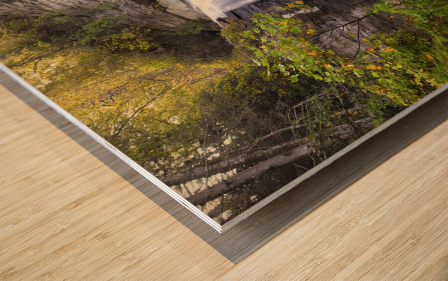 Looking Glass Falls in Autumn Wood print