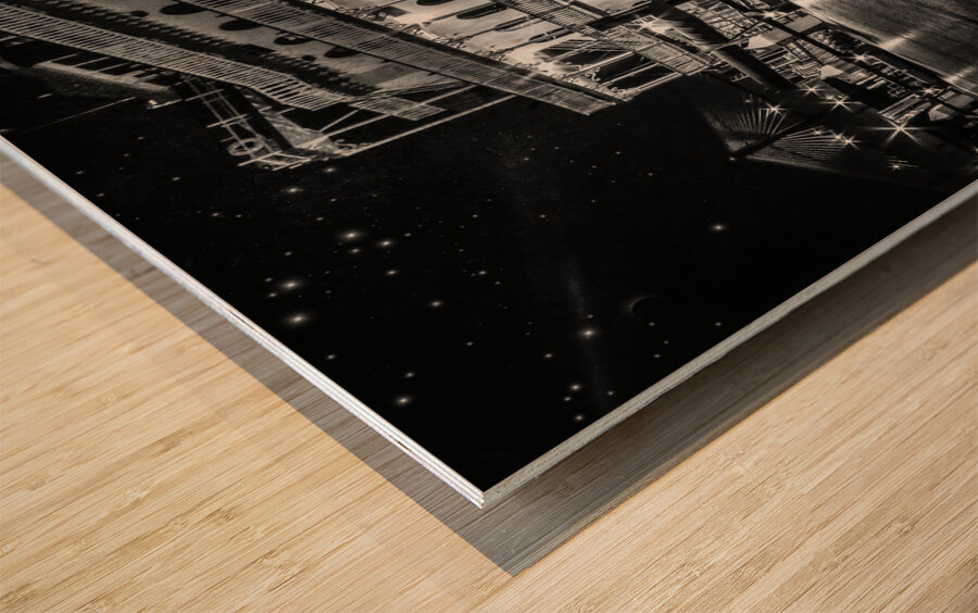 Georgia Queen at Historic Savannah Georgia Wood print