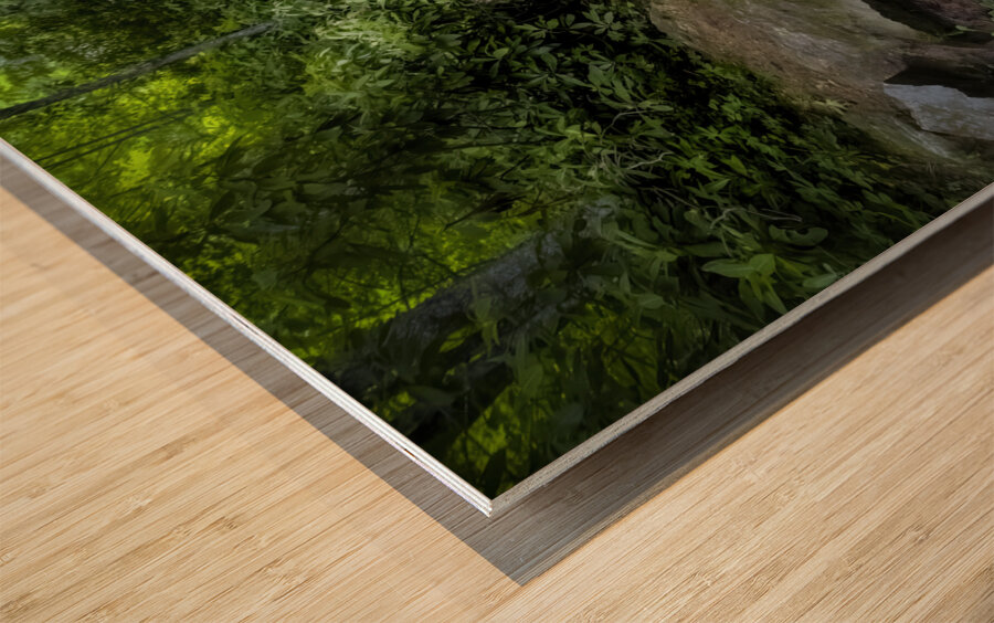 Cascade in the Mountains Wood print