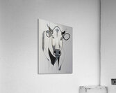 La Vache N°2  Acrylic Print