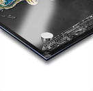 Taino Bay I Acrylic print