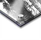 Dylan BW 01 Cabarete Bay Sept 24 Impression Acrylique