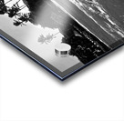 Bella September2024 1BW Acrylic print