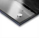 Jenny Cosmic Babarete Bay 22 BWAugust 2024 Acrylic print