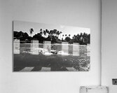 Bella September2024 1BW Acrylic Print