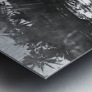 Dylan BW 01 Cabarete Bay Sept 24 Impression metal