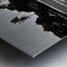 Bella September2024 1BW Metal print