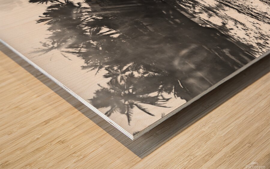 Dylan BW 01 Cabarete Bay Sept 24 Impression sur bois