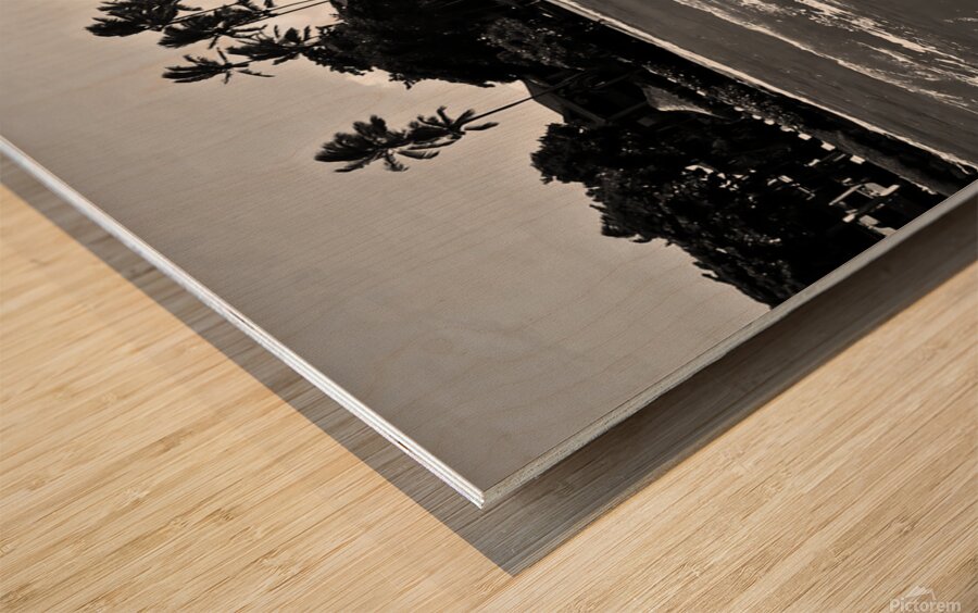 Bella September2024 1BW Wood print