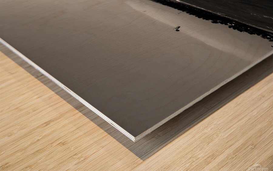 Jenny Cosmic Babarete Bay 22 BWAugust 2024 Wood print