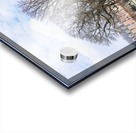Place des Vosges Acrylic print