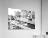Les Oiseaux Acrylic Print