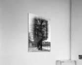A Winters Day Acrylic Print