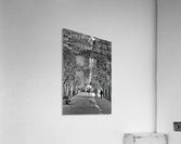 Arbre dalignement Acrylic Print