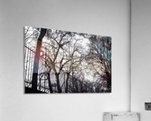 Pere Lachaise Acrylic Print