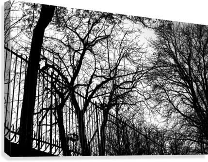 Pere Lachaise Canvas Print