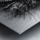 A Winters Day Metal print