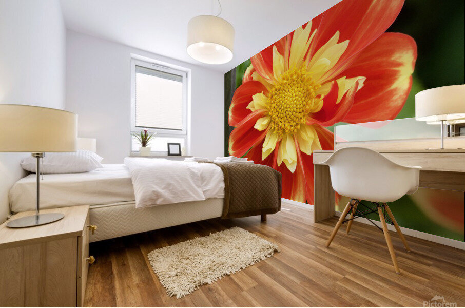 Dahlia Mural print