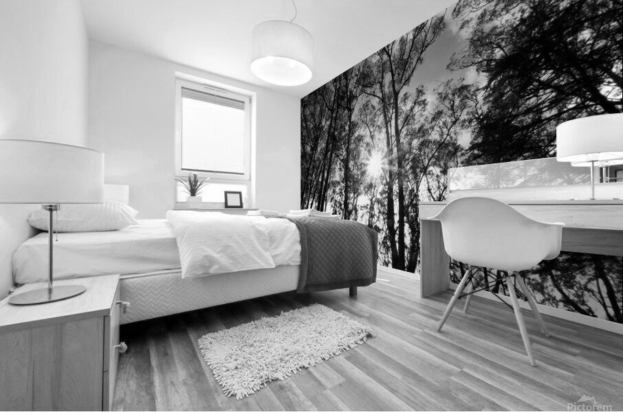 Sutro Peak Mural print