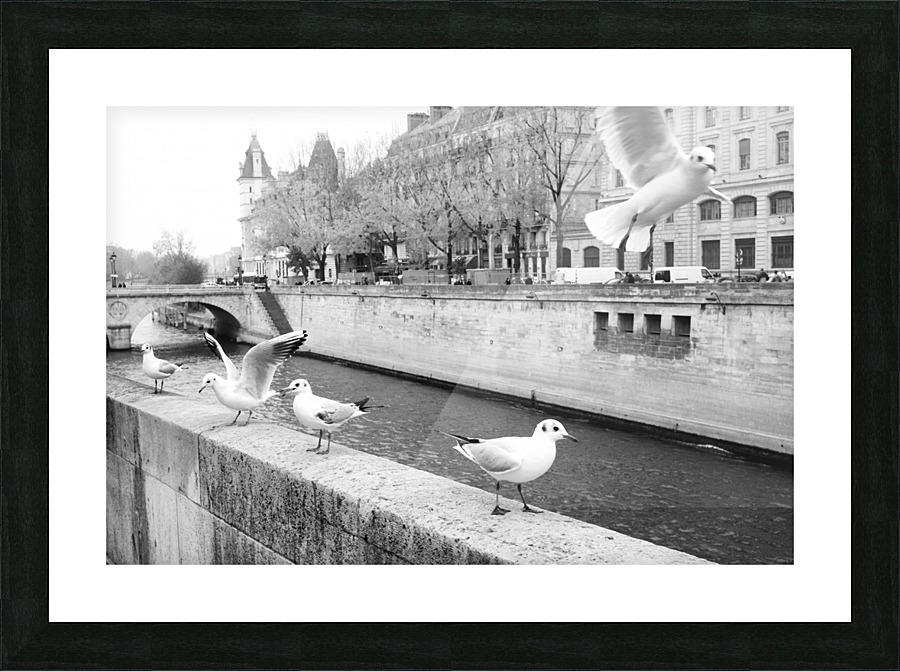 Les Oiseaux Picture Frame print