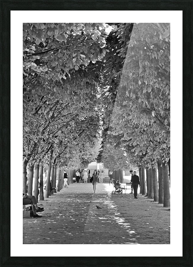 Arbre dalignement Picture Frame print