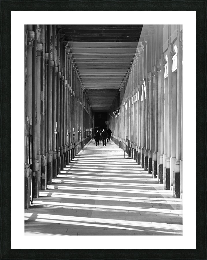 Palais Royale Picture Frame print