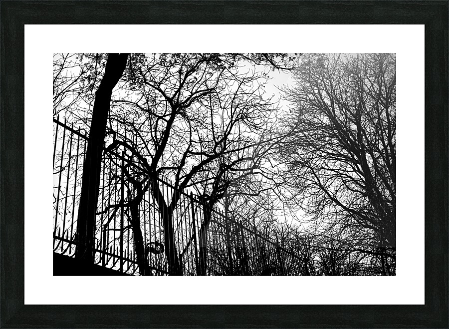 Pere Lachaise Picture Frame print
