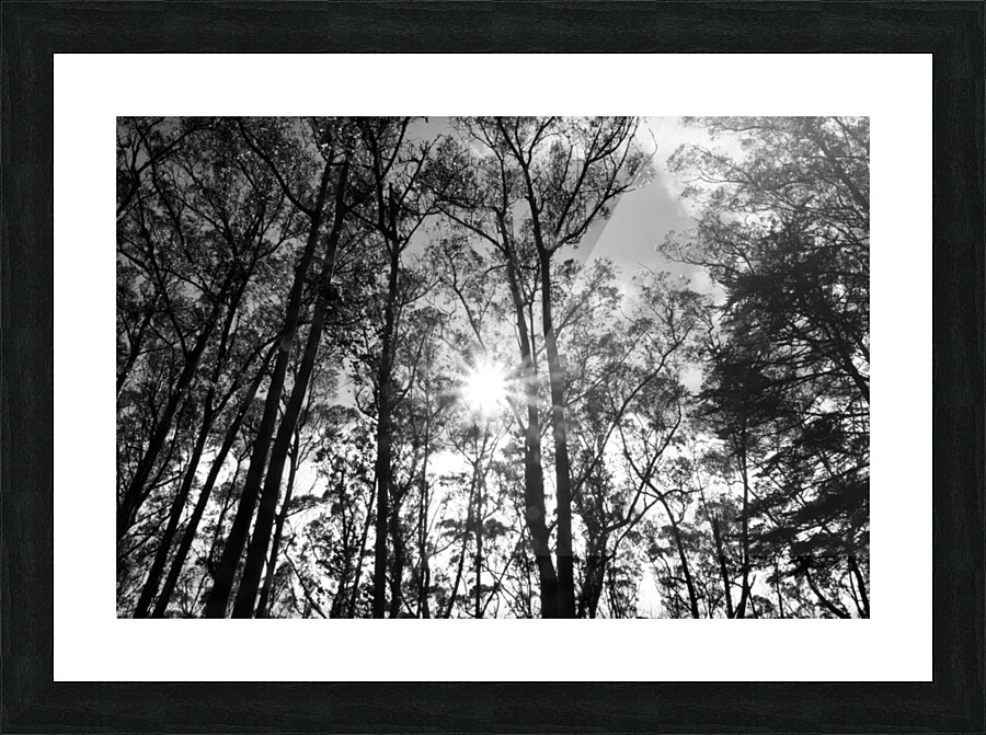 Sutro Peak Picture Frame print