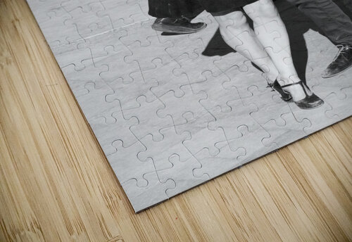 Salsa de la Seine Bill Osuch puzzle