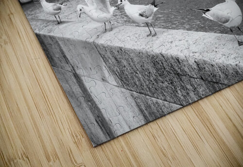 Les Oiseaux Bill Osuch puzzle