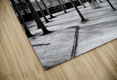 Reflection de la Nuit Bill Osuch puzzle