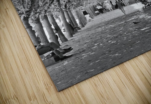 Arbre dalignement Bill Osuch puzzle