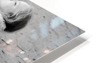 La Sieste HD Metal print