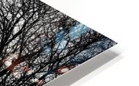 Pere Lachaise HD Metal print