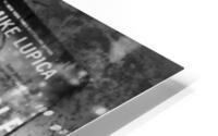 For Free HD Metal print