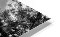Sutro Peak HD Metal print