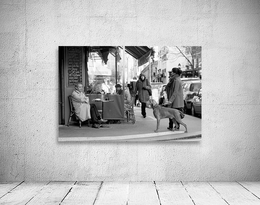 Street Life in Le Marais Wall Preview