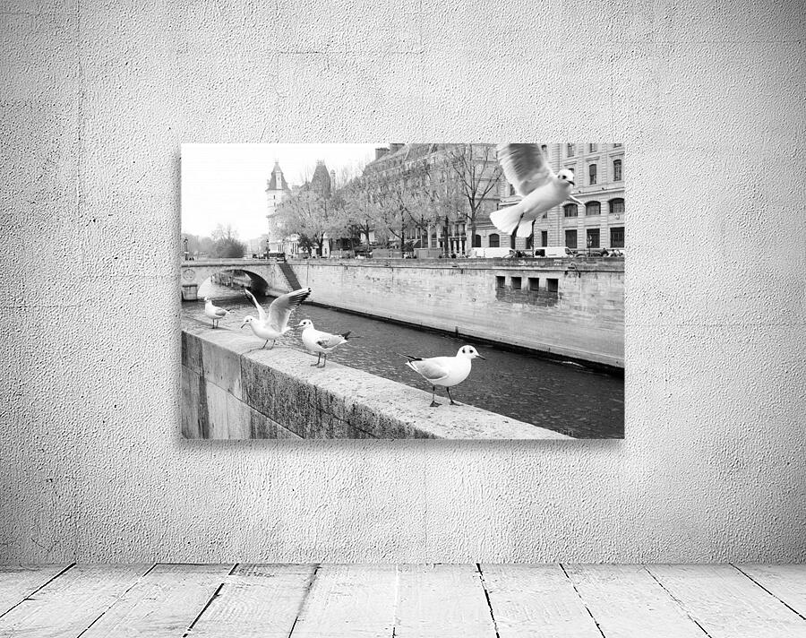 Les Oiseaux Wall Preview