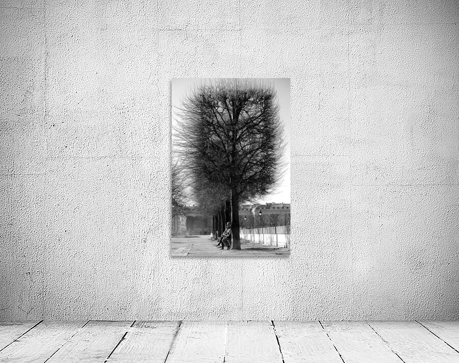 A Winters Day Wall Preview