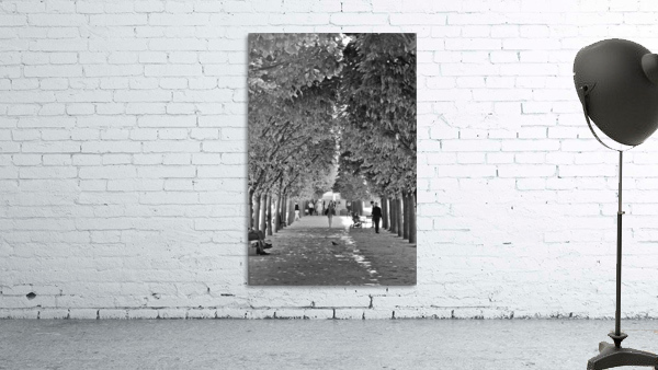 Arbre dalignement Wall Preview