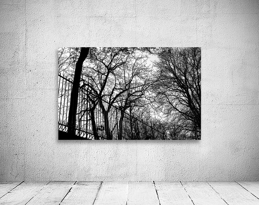 Pere Lachaise Wall Preview