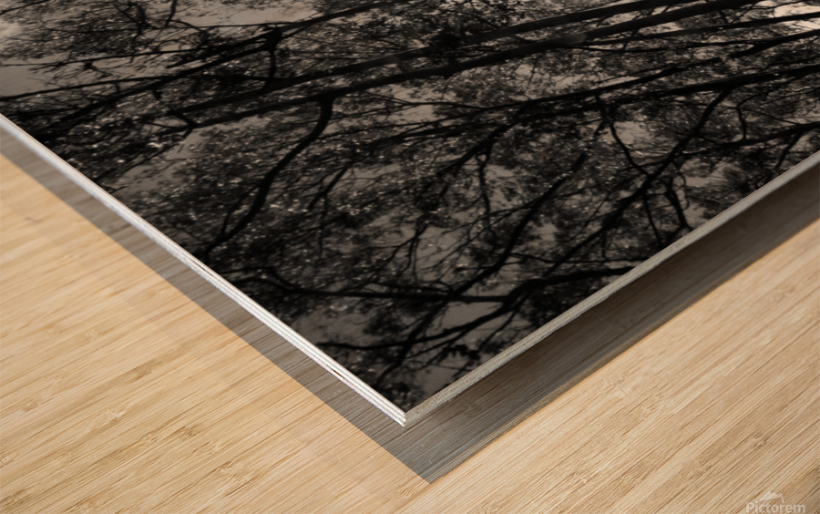 Sutro Peak Wood print
