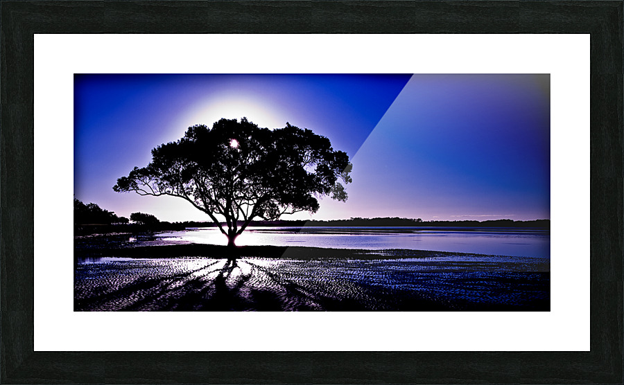 In the Shadows Picture Frame print
