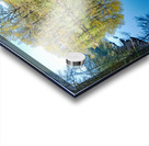 Snoqualmie River and early fall tree colors Acrylic print